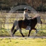 Alfsengi_maart_0M8A8254