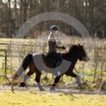 Alfsengi_maart_0M8A8270