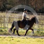 Alfsengi_maart_0M8A8273
