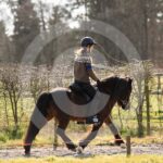Alfsengi_maart_0M8A8279