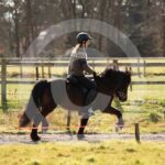 Alfsengi_maart_0M8A8281