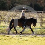 Alfsengi_maart_0M8A8284