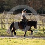 Alfsengi_maart_0M8A8286
