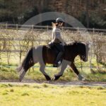 Alfsengi_maart_0M8A8287