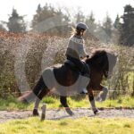Alfsengi_maart_0M8A8288