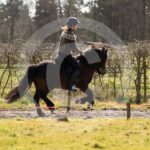 Alfsengi_maart_0M8A8291