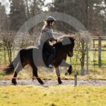 Alfsengi_maart_0M8A8292