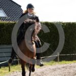 Alfsengi_maart_0M8A8312