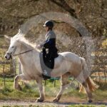 Alfsengi_maart_0M8A8322