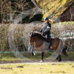 Alfsengi_maart_0M8A8323