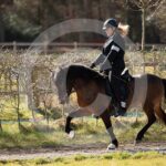 Alfsengi_maart_0M8A8328