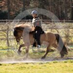 Alfsengi_maart_0M8A8337