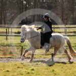 Alfsengi_maart_0M8A8340