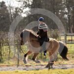 Alfsengi_maart_0M8A8344