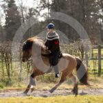 Alfsengi_maart_0M8A8345