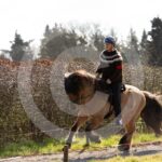 Alfsengi_maart_0M8A8348