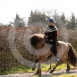 Alfsengi_maart_0M8A8349