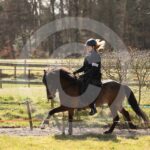 Alfsengi_maart_0M8A8356