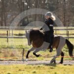 Alfsengi_maart_0M8A8360
