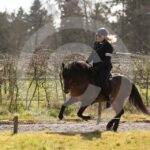 Alfsengi_maart_0M8A8362