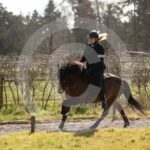 Alfsengi_maart_0M8A8363