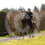 Alfsengi_maart_0M8A8369
