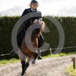 Alfsengi_maart_0M8A8374