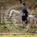 Alfsengi_maart_0M8A8380