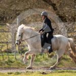 Alfsengi_maart_0M8A8381