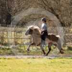 Alfsengi_maart_0M8A8396