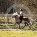 Alfsengi_maart_0M8A8398