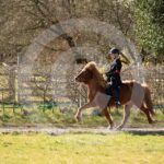 Alfsengi_maart_0M8A8399