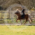 Alfsengi_maart_0M8A8401