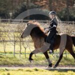 Alfsengi_maart_0M8A8410