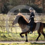 Alfsengi_maart_0M8A8412