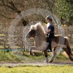 Alfsengi_maart_0M8A8415