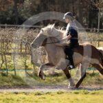 Alfsengi_maart_0M8A8426