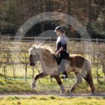Alfsengi_maart_0M8A8432