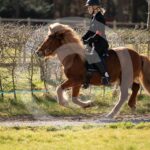 Alfsengi_maart_0M8A8448