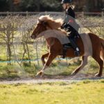 Alfsengi_maart_0M8A8449