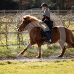 Alfsengi_maart_0M8A8450