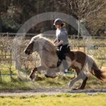 Alfsengi_maart_0M8A8456