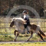Alfsengi_maart_0M8A8457