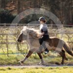 Alfsengi_maart_0M8A8458