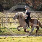 Alfsengi_maart_0M8A8460