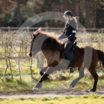 Alfsengi_maart_0M8A8465