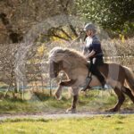 Alfsengi_maart_0M8A8469