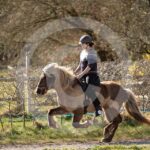 Alfsengi_maart_0M8A8472