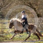 Alfsengi_maart_0M8A8473