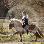 Alfsengi_maart_0M8A8474